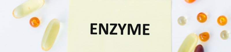 Enzymy2